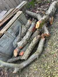 Firewood - FREE