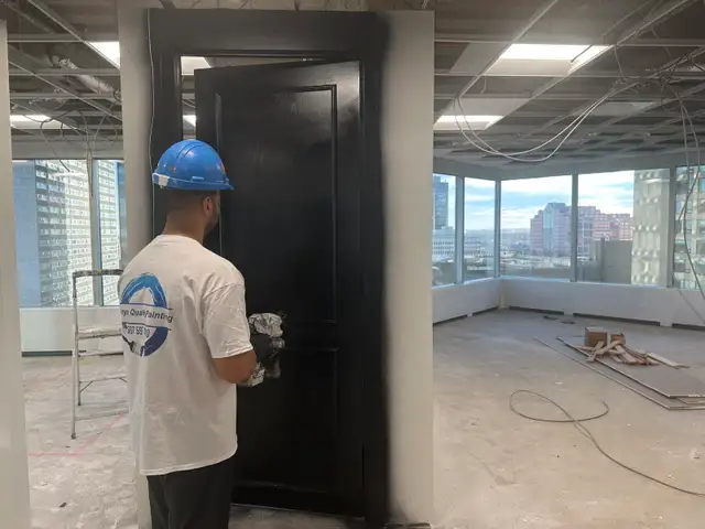 professional painter 494059795744696322
