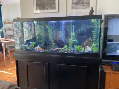 75 Gallon Fish Tank complete, View more