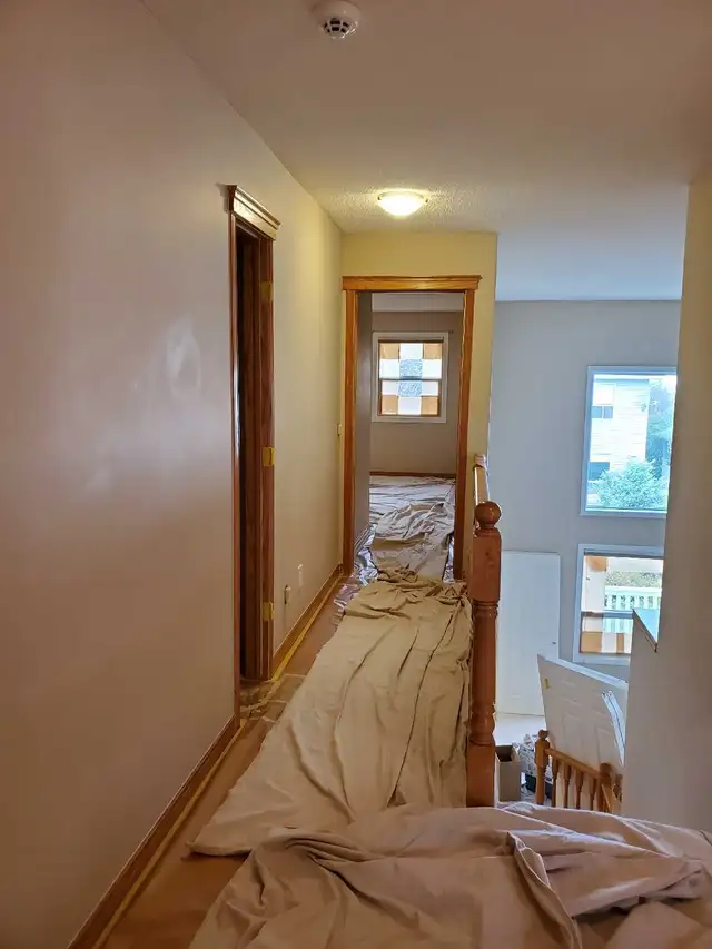 Professional Painter For Professional results561999893539082247