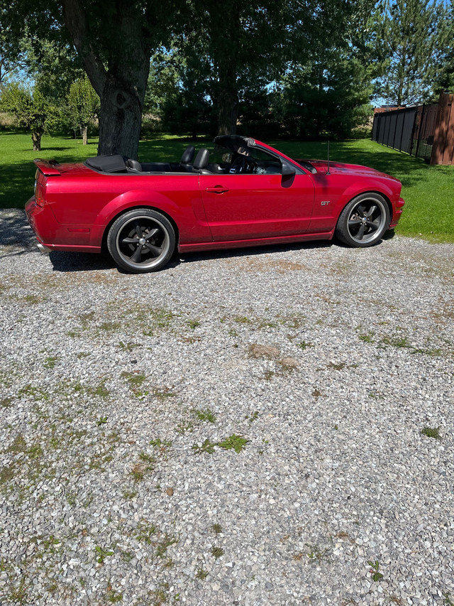 2008 mustang GT convertible  in Cars & Trucks in St. Catharines - Image 4