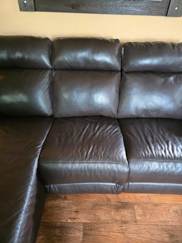 Canadian Made Palliser Couch in Couches & Futons in Stratford - Image 4