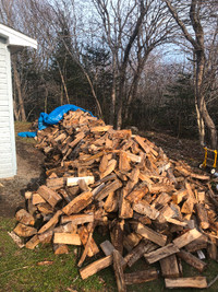 Firewood for sale 1/4 Cord $100 delivered in HRM.