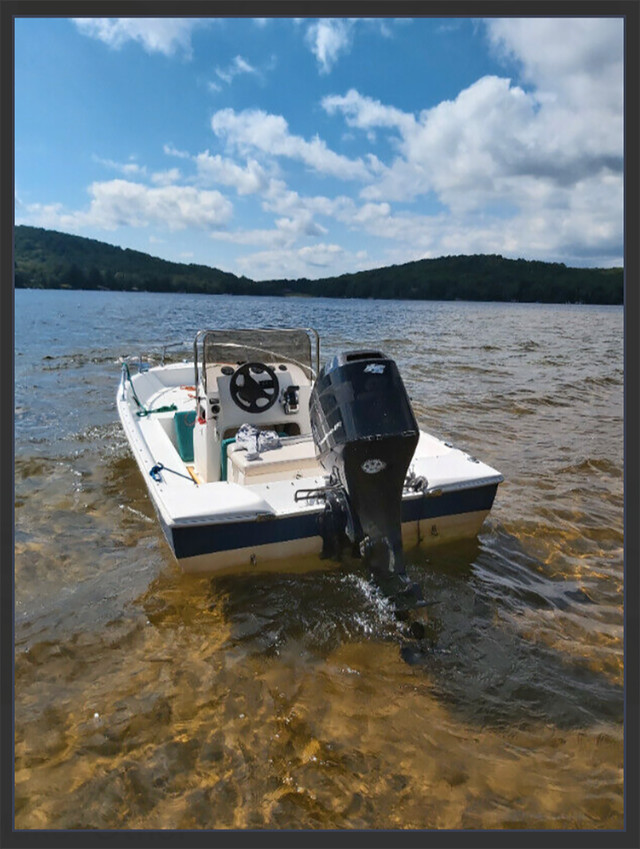 Grew 2006,  60 HP Mercury in Powerboats & Motorboats in City of Toronto - Image 3
