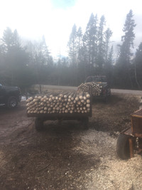 Black spruce Fence stakes for sale