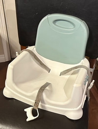 Fisher Price booster seat portable high chair