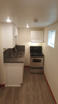 Renovated Cute Small Bachelor Basement in Prime Location