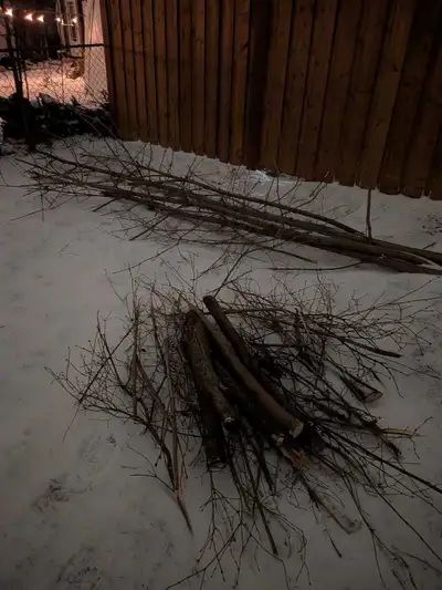 Free Firewood, View more