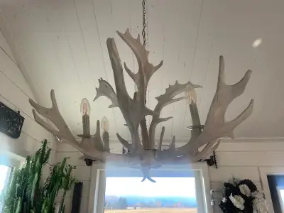 Antler Light Fixture…Cabin Decor…Hunting Deer, Wildlife Decor.., View more