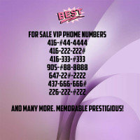 We have wide selection of Vip Phone Numbers! 416-647-905-403-604