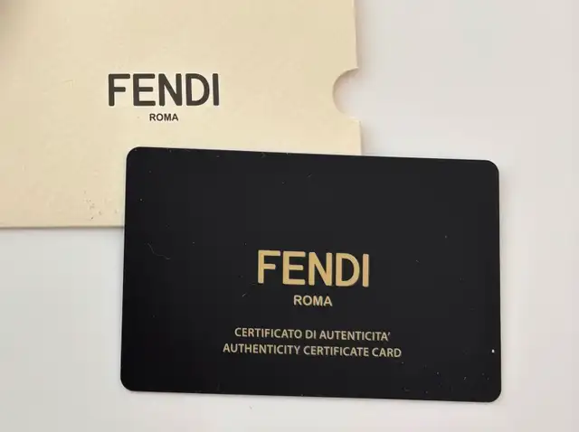 Fendi women's sunglasses63849000406915122