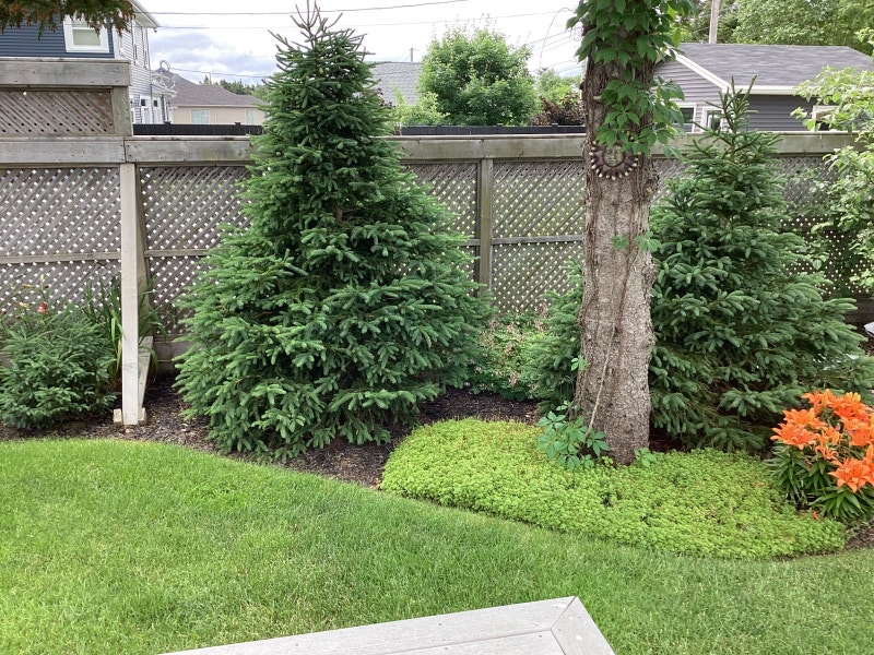 Yard sale Garage Sales St. John's Kijiji