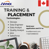 IT Staffing - Training & Placement