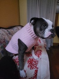 Dog Sweater hand knitted