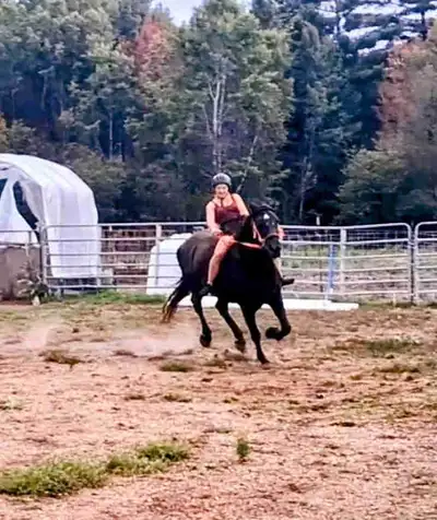 ISO English Riding Lessons, View more