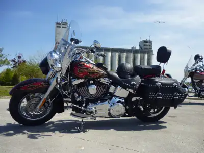Beautiful and comfortable HD Softail. Been a solo ride but Backrest re-installed. 1690ccs. Custom HD...