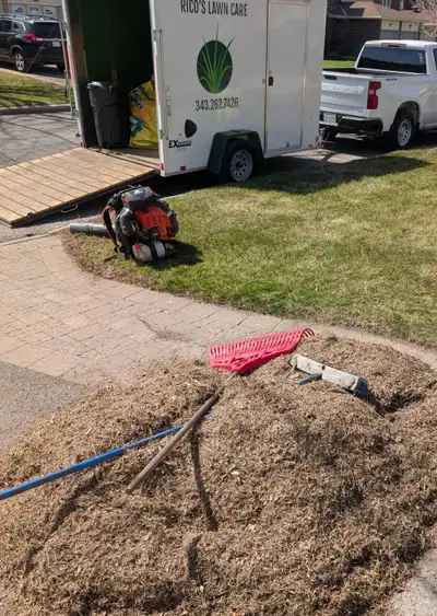 Is your lawn looking patchy, thin, or struggling to grow? Thatch buildup could be the problem! At Ri...