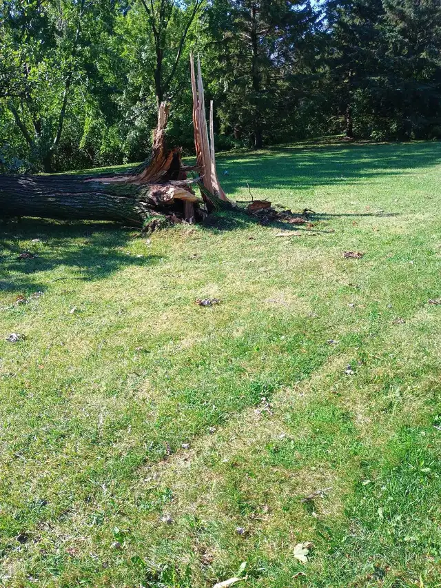 post storm cleanup