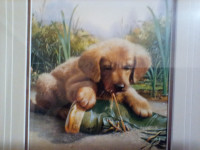 Vintage Print and plate Yellow Lab