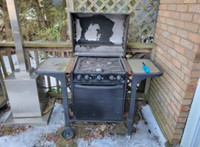 Outdoor stove and oven