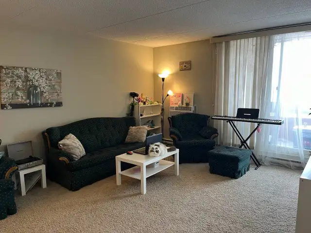 1 bedroom apartment available April 1
