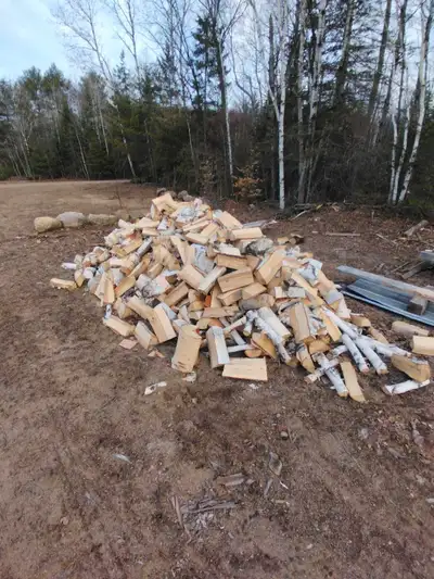 white birch firewood, View more