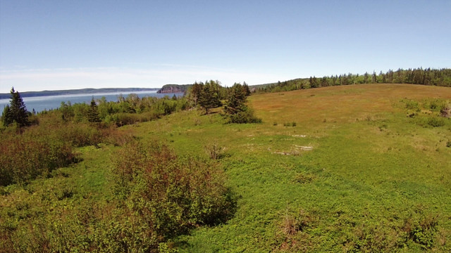 Oceanfront Property Bay of Fundy in Parrsboro in Land for Sale in City of Halifax - Image 2