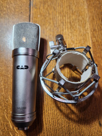 CAD GXL200 Large Condenser Microphone