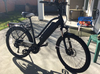 Surface 604 Electric Bike