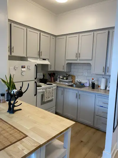 Spacious Renovated  one bedroom Apt Prime Princess St Uptown SJ