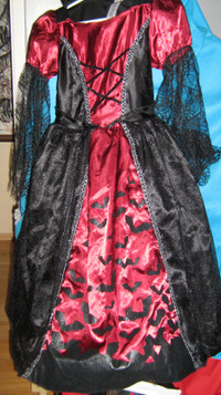 **Costume  Fancy Witch Dress, Halloween Decor**