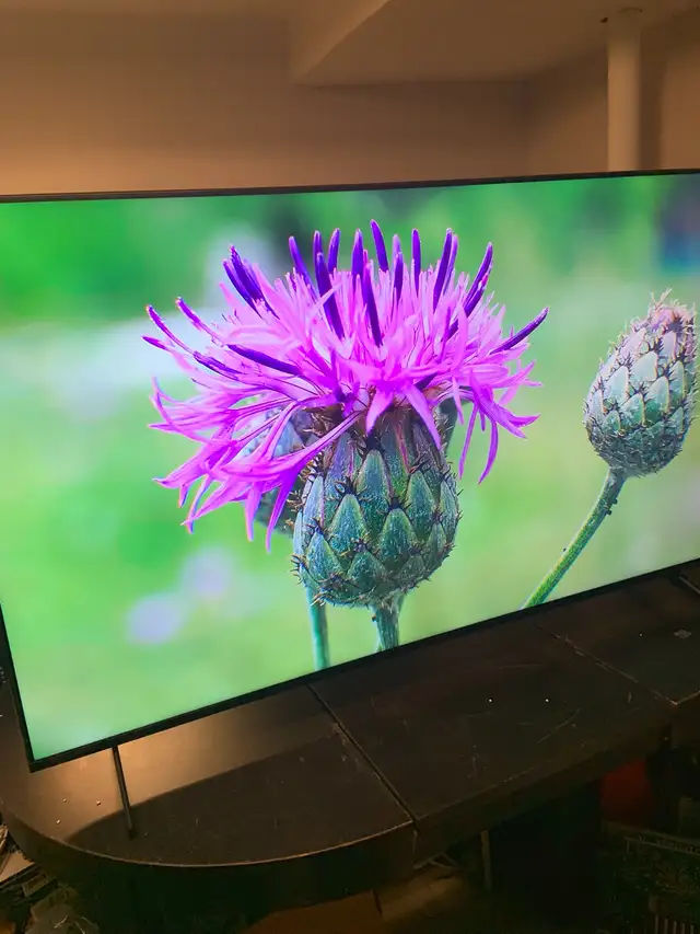 Sony 65 Inch 4K Ultra HD TV X85K Series: LED Smart Google 120hz in TVs in City of Toronto - Image 9