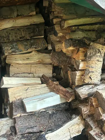$100 for a regular truck box full already cut and split. There are about 2. truck box loads of popla...