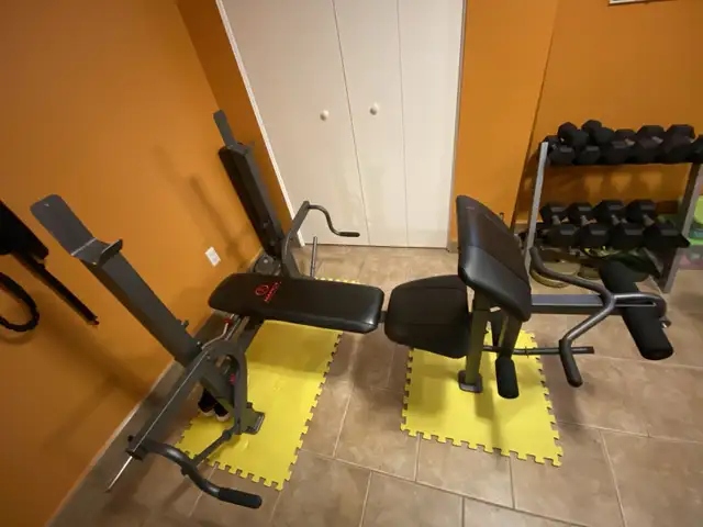 Marcy Bench64733718685059122