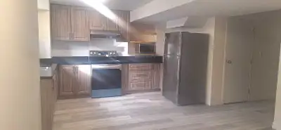 Furnished 1 bdrm basement unit available for rent in quiet boxgrove neighbourhood (9th line and 14th...