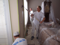 NORALTA PAINTING  780 451-8300