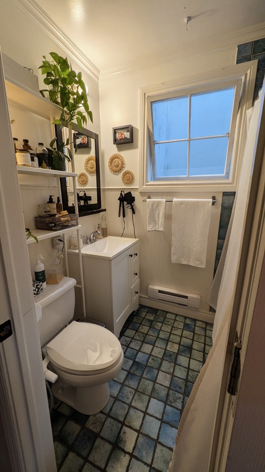 5 1/2 dans Rosemont Petite-Patrie — photo 2