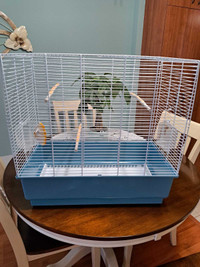 Cage à oiseau 