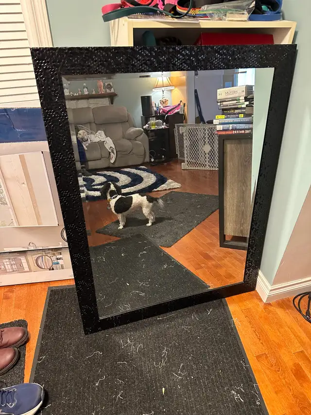 large decorative mirror  in Home Décor & Accents in Calgary - Image 2