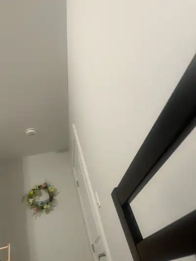 private apartment or basement for rent