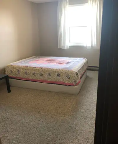 One room for rent is available from 1 June  2025