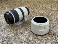 Canon RF 70-200mm Lens