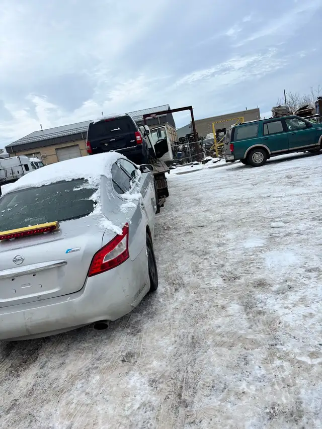 Used cars for cash in Cars & Trucks in St. Albert - Image 5