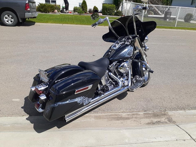 2001 Harley Davidson soft tail  in Street, Cruisers & Choppers in St. Albert - Image 3