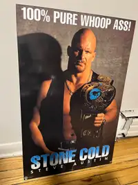 WWE stone cold steve austin Plaque 20x16