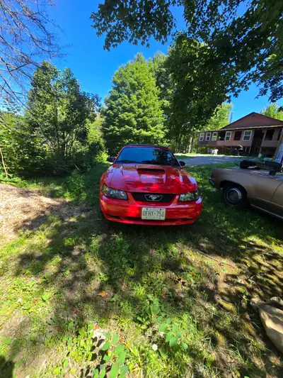 Beautiful car just to small now.