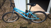 Bike / bicycle,  with 24" tires