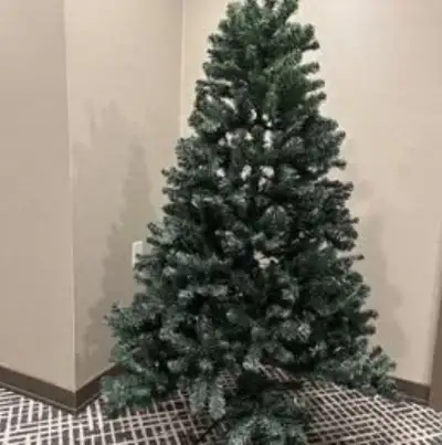 Christmas Tree 6 Ft (180 cm) Nordmann Fir 10147 Tips for $80, View more