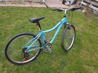 26 used MOUNTAIN BICYCLE BLUE