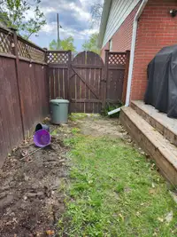 Terre gratuite provenant de mon jardin /Free dirt from my yard